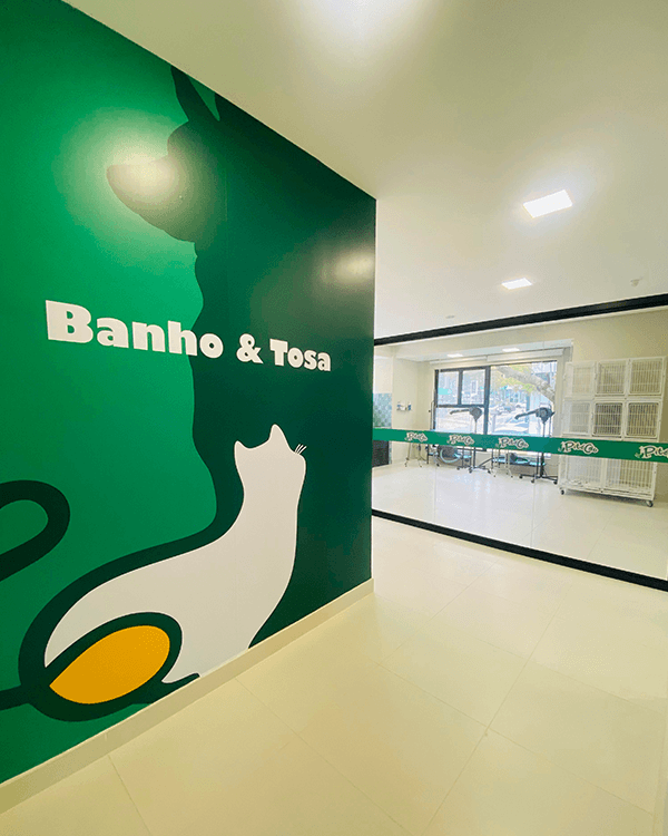 Área de banho e tosa da PitéCão com painel verde e mesas de tosa