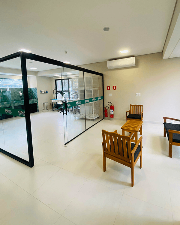 Sala de espera ampla da PitéCão, com poltronas e vista para a sala de atendimento